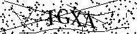 Por favor, introduza as letras e os números abaixo.