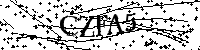 Por favor, introduza as letras e os números abaixo.