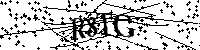 Por favor, introduza as letras e os números abaixo.